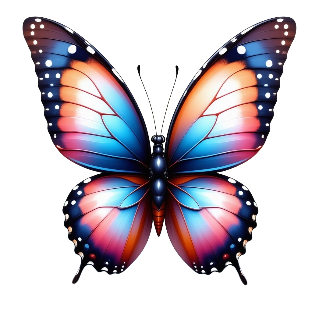 Colorful Butterfly